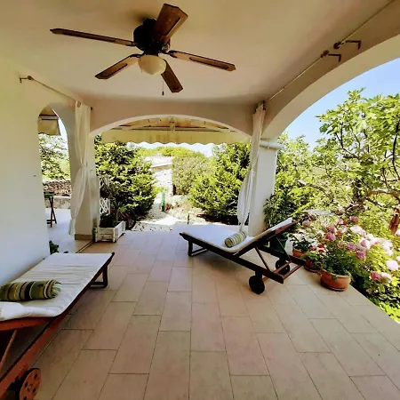 Subasic * Зларин