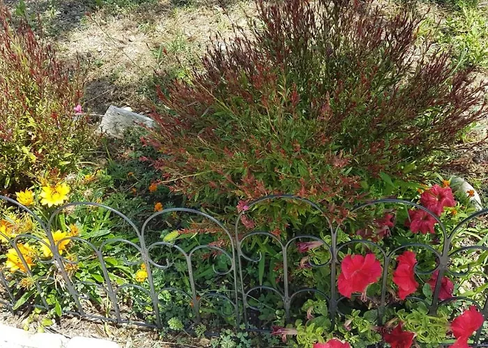 Subasic בית נופש זלארין