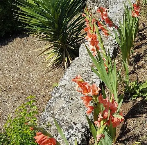 Subasic בית נופש