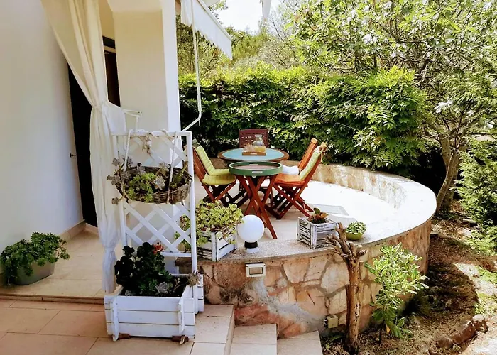 Subasic * זלארין