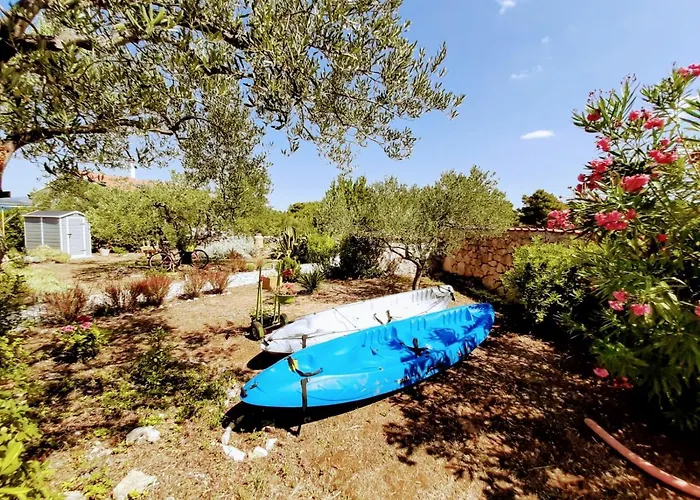 Subasic זלארין