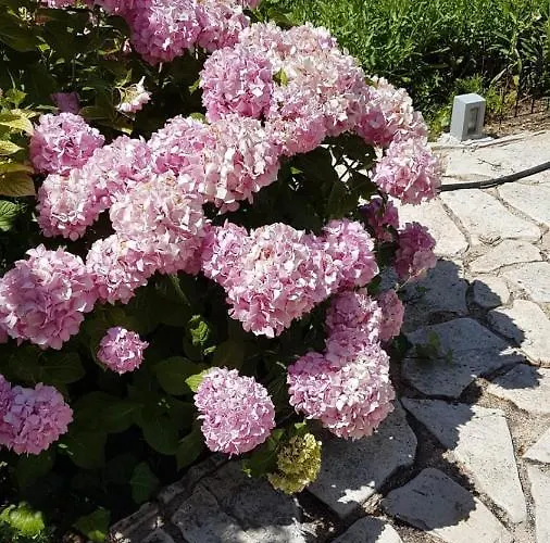 Subasic Vakantiehuis