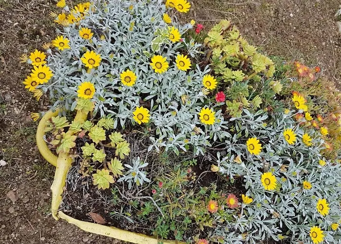 Vakantiehuis Subasic